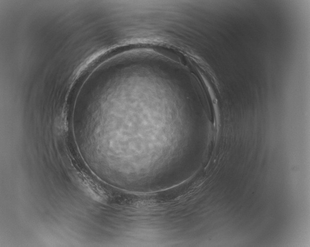 X0000077360628200610201323