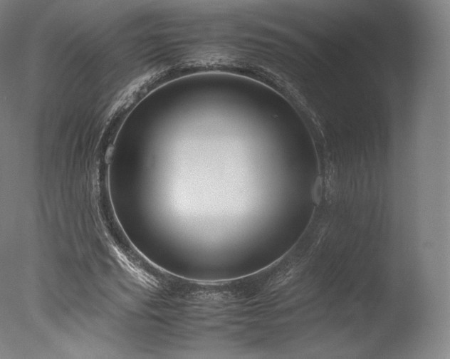 X0000077360629200610201323