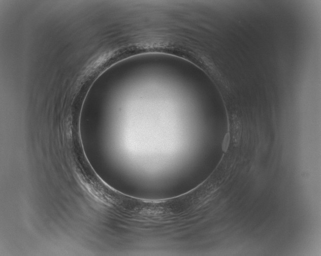 X0000077360631200610201323