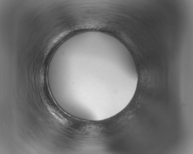 X0000077360632200610201323