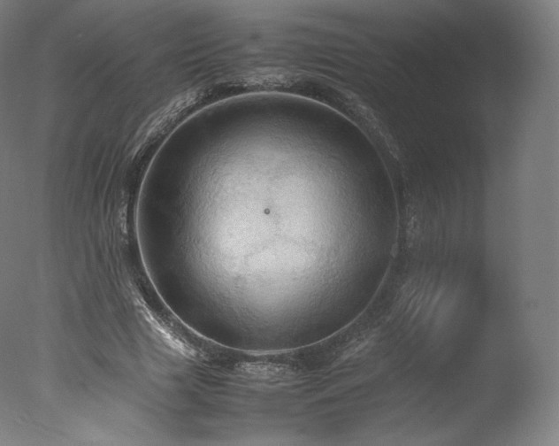 X0000077360633200610201323