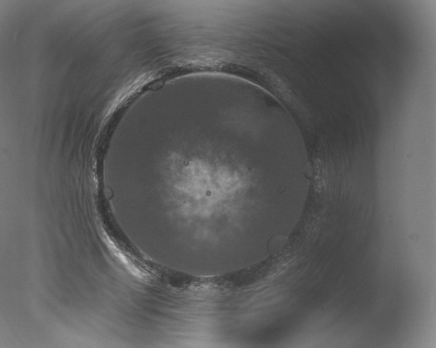 X0000077360634200610201323