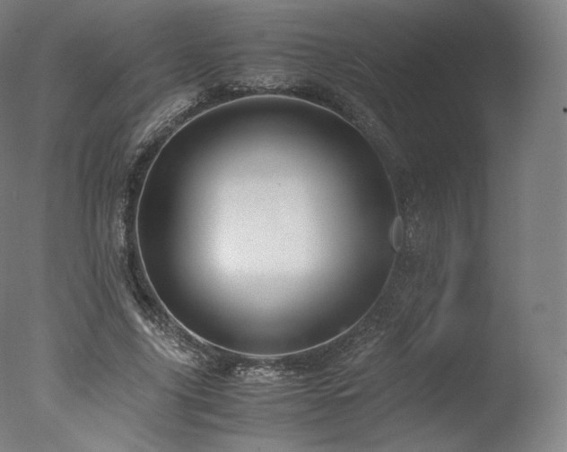 X0000077360635200610201323