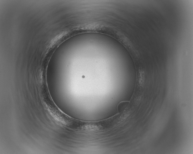 X0000077360636200610201323