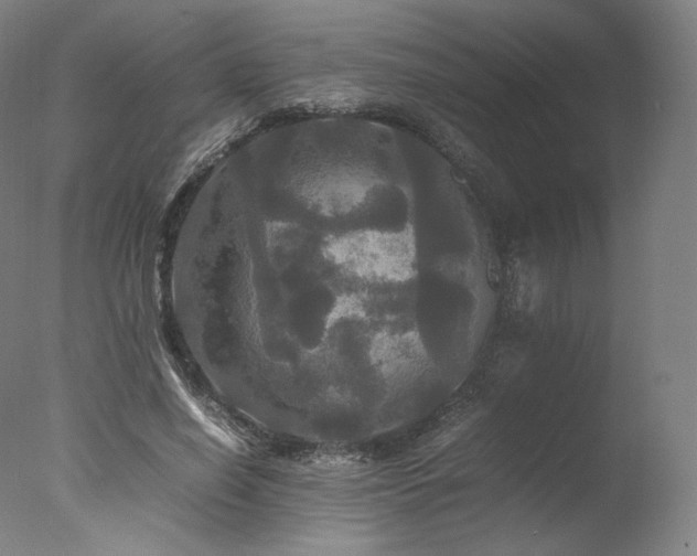 X0000077360638200610201323