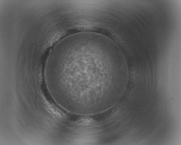 X0000077360642200610201323