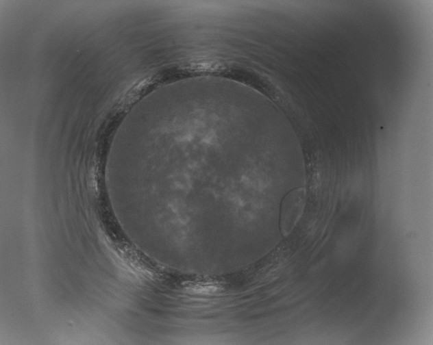 X0000077360643200610201323