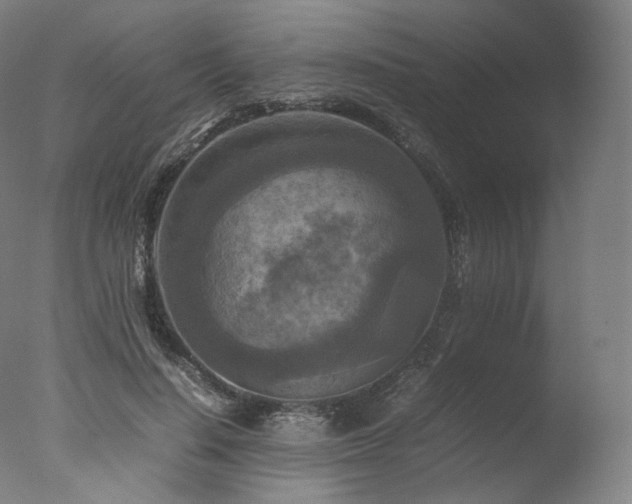 X0000077360644200610201323