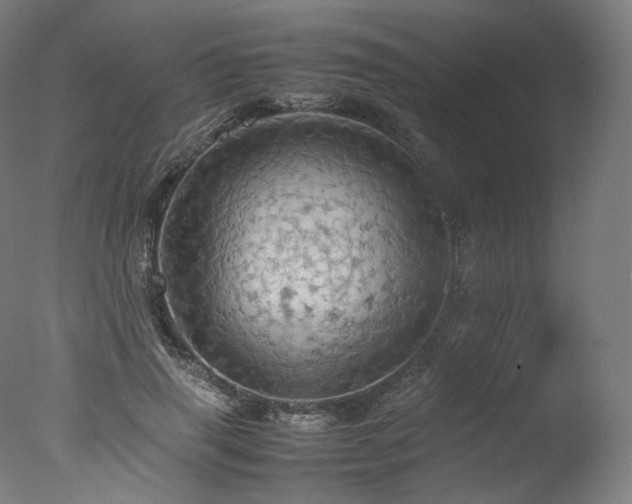 X0000077360645200610201324