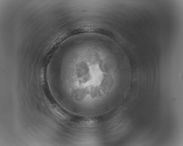 X0000077360646200610201324