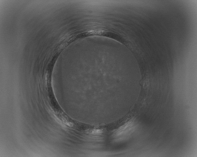 X0000077360647200610201324