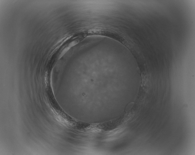 X0000077360648200610201324