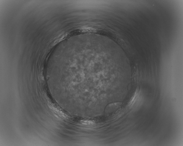 X0000077360649200610201324