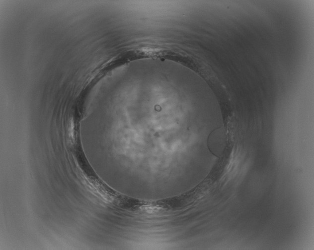 X0000077360650200610201324