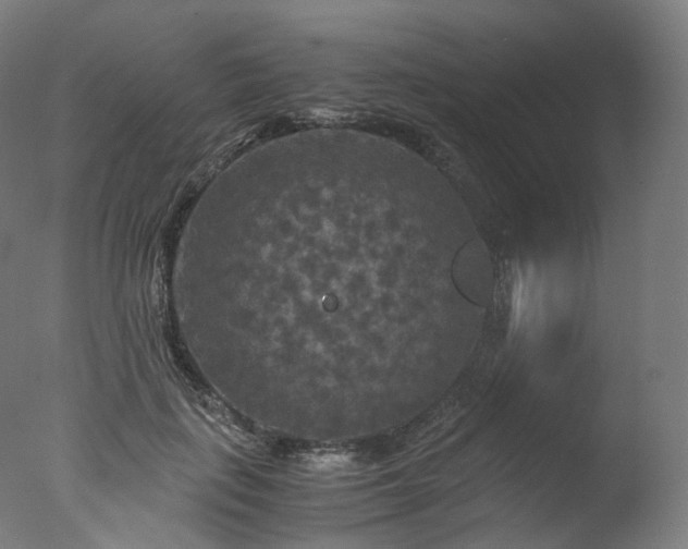 X0000077360651200610201324