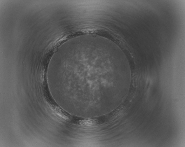 X0000077360652200610201324