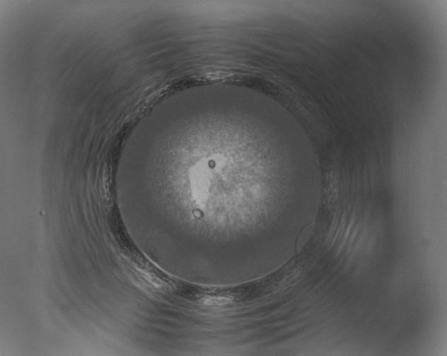 X0000077360653200610201324