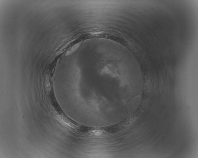 X0000077360654200610201324