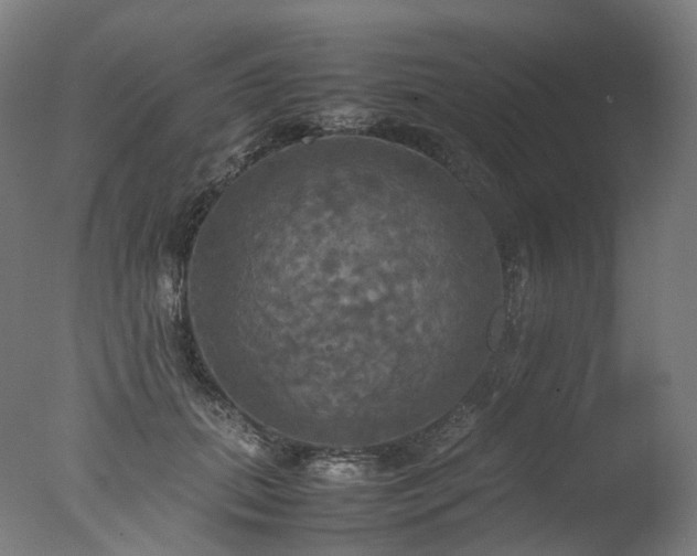 X0000077360655200610201324