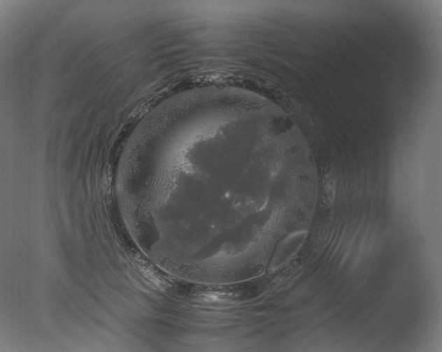 X0000077360657200610201324