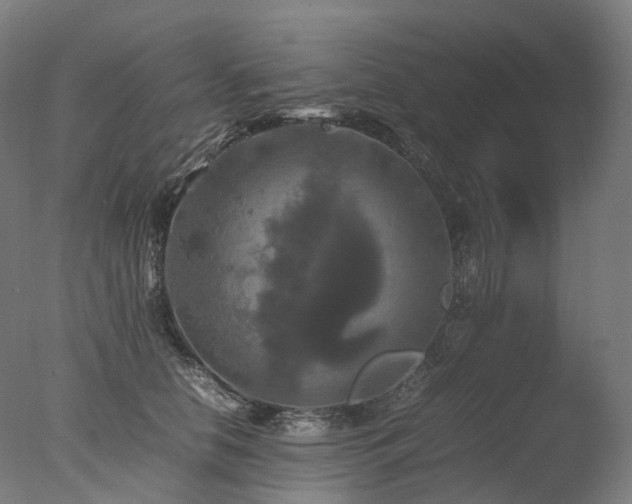 X0000077360658200610201324