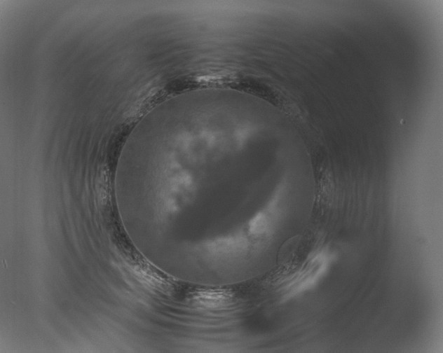 X0000077360659200610201324