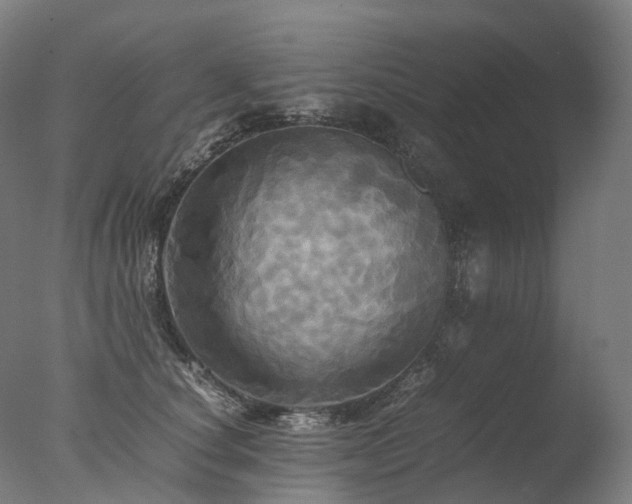 X0000077360660200610201324