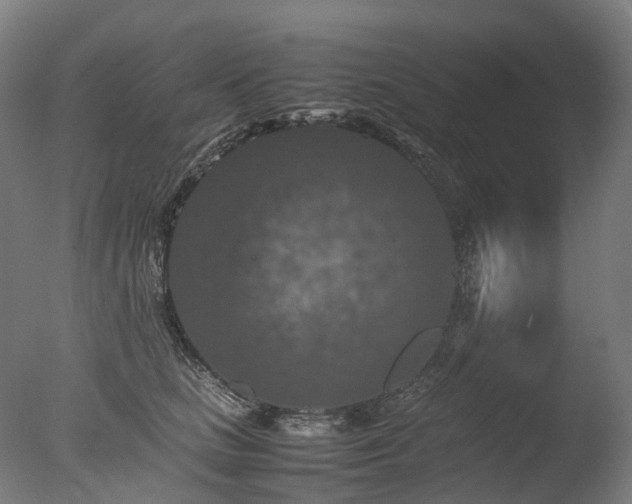 X0000077360661200610201324