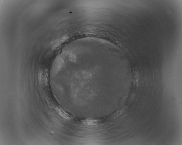 X0000077360664200610201324