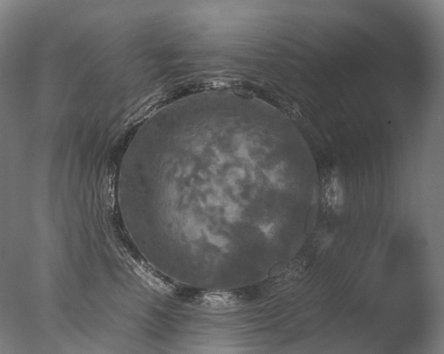 X0000077360666200610201324