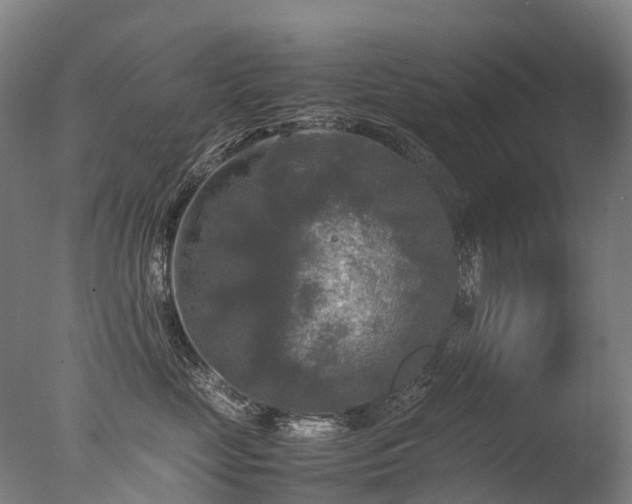 X0000077360669200610201324