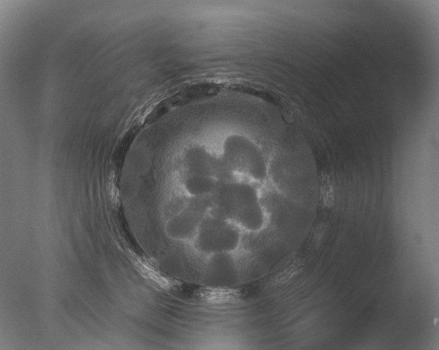 X0000077360670200610201324