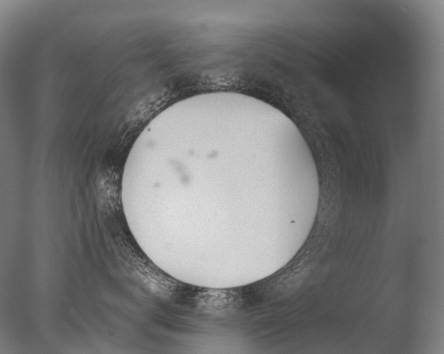 X0000077360672200610201324