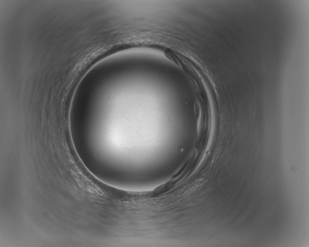 X0000077360673200610201323