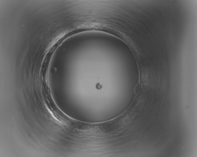 X0000077360674200610201323