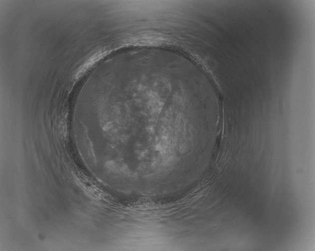 X0000077360675200610201323