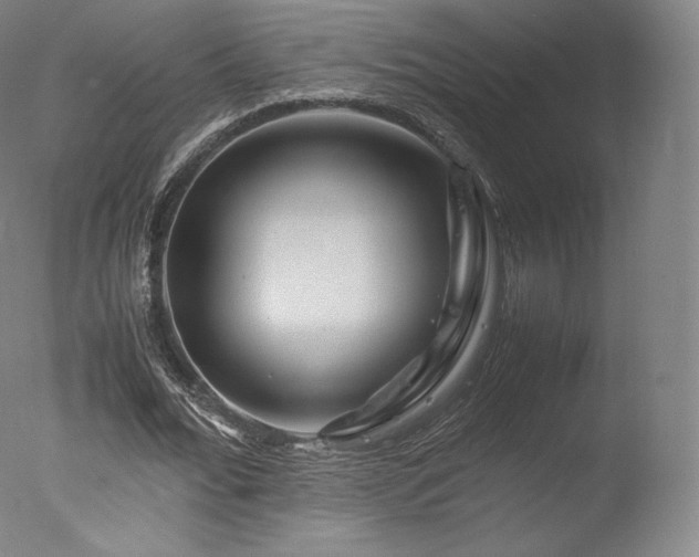 X0000077360676200610201323