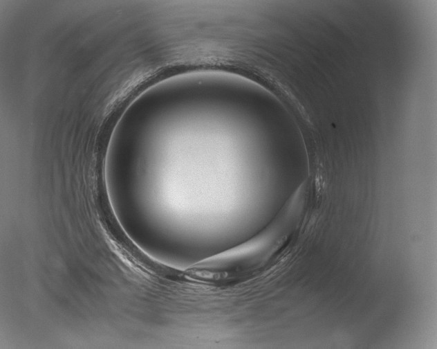 X0000077360677200610201323