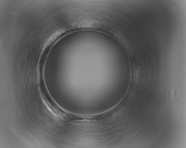 X0000077360678200610201323