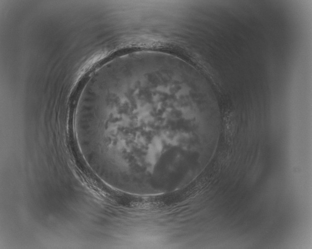 X0000077360679200610201323