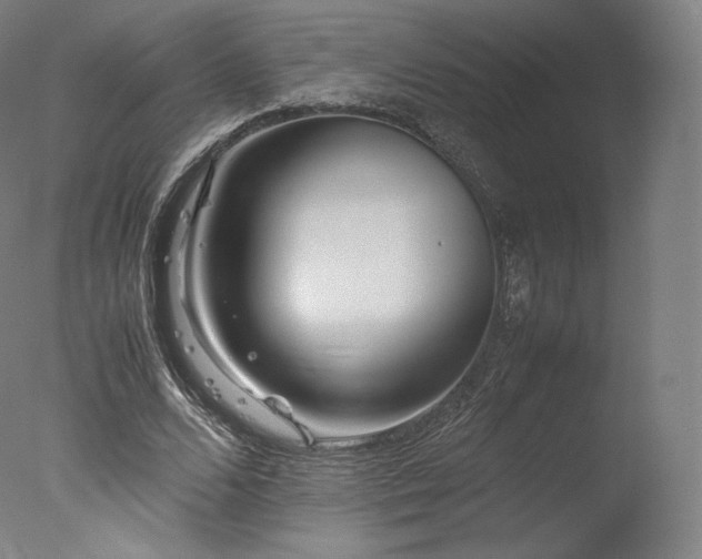 X0000077360680200610201323