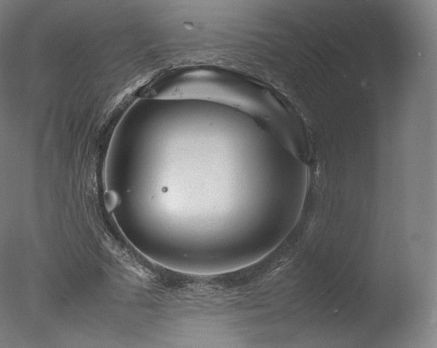 X0000077360681200610201323