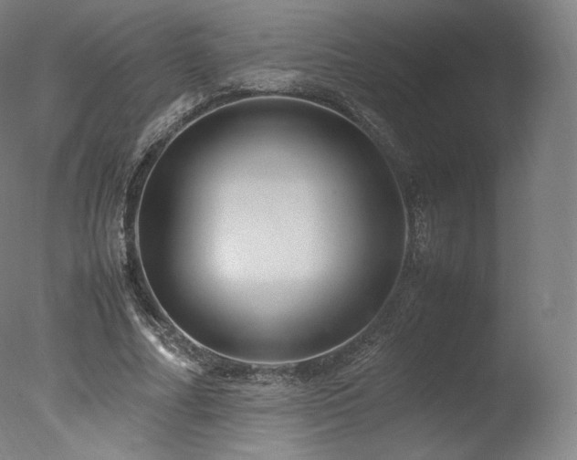 X0000077360682200610201323