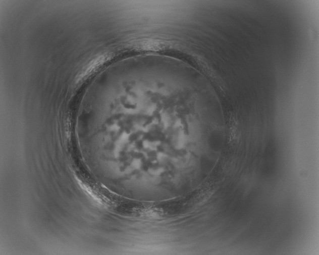 X0000077360683200610201323