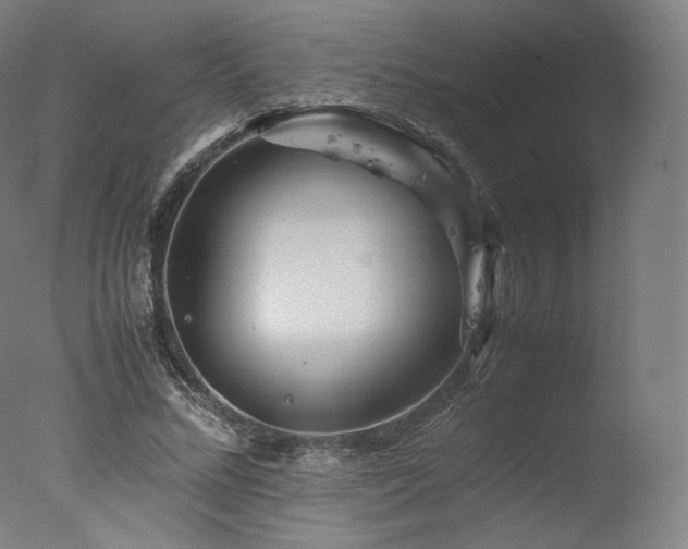 X0000077360684200610201323