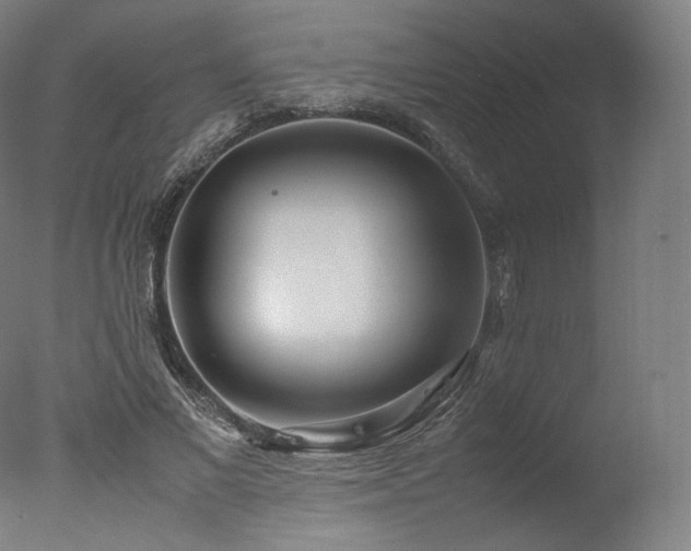 X0000077360685200610201323