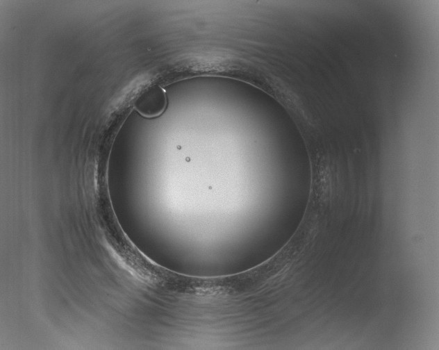 X0000077360686200610201323