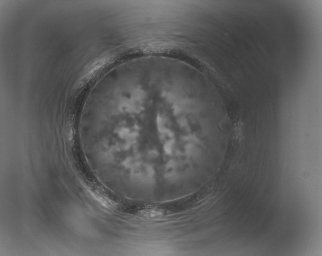 X0000077360687200610201323