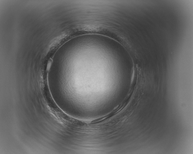 X0000077360688200610201323