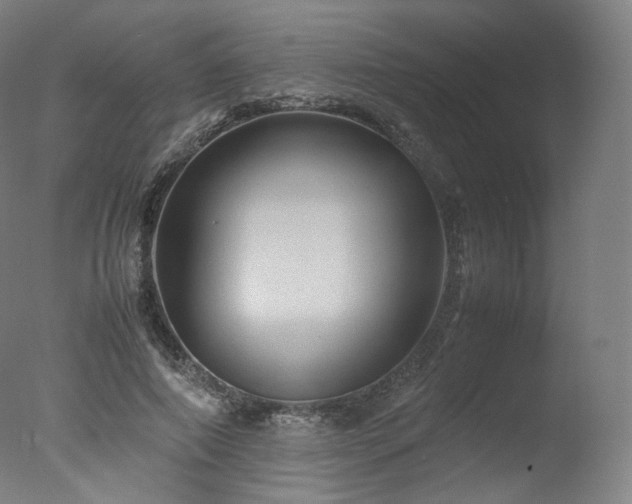 X0000077360690200610201323